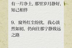 东亚披荆斩棘，饱经红尘细叹几多寄托的简单介绍